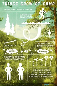 Things Grow at Camp infographic