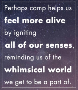 Perhaps camp helps us feel more alive by igniting all of our senses, reminding us of the whimsical world we get to be a part of.