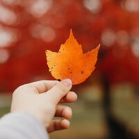 Consider a Family Retreat or Family Day This Fall