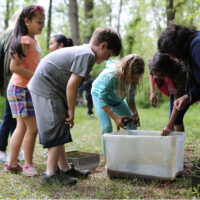 Image of several children playing at camp